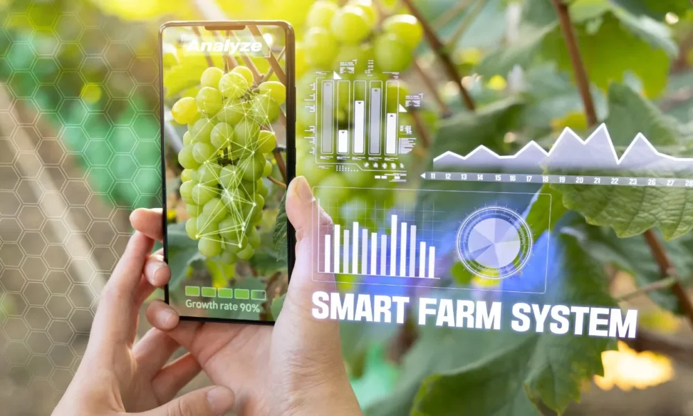 How to Integrate Technology with Traditional Farming Integrate Technology with Traditional Farming